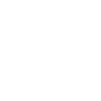 logo-spa-naturalis-en-cholula-puebla